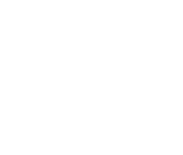 VZV steel